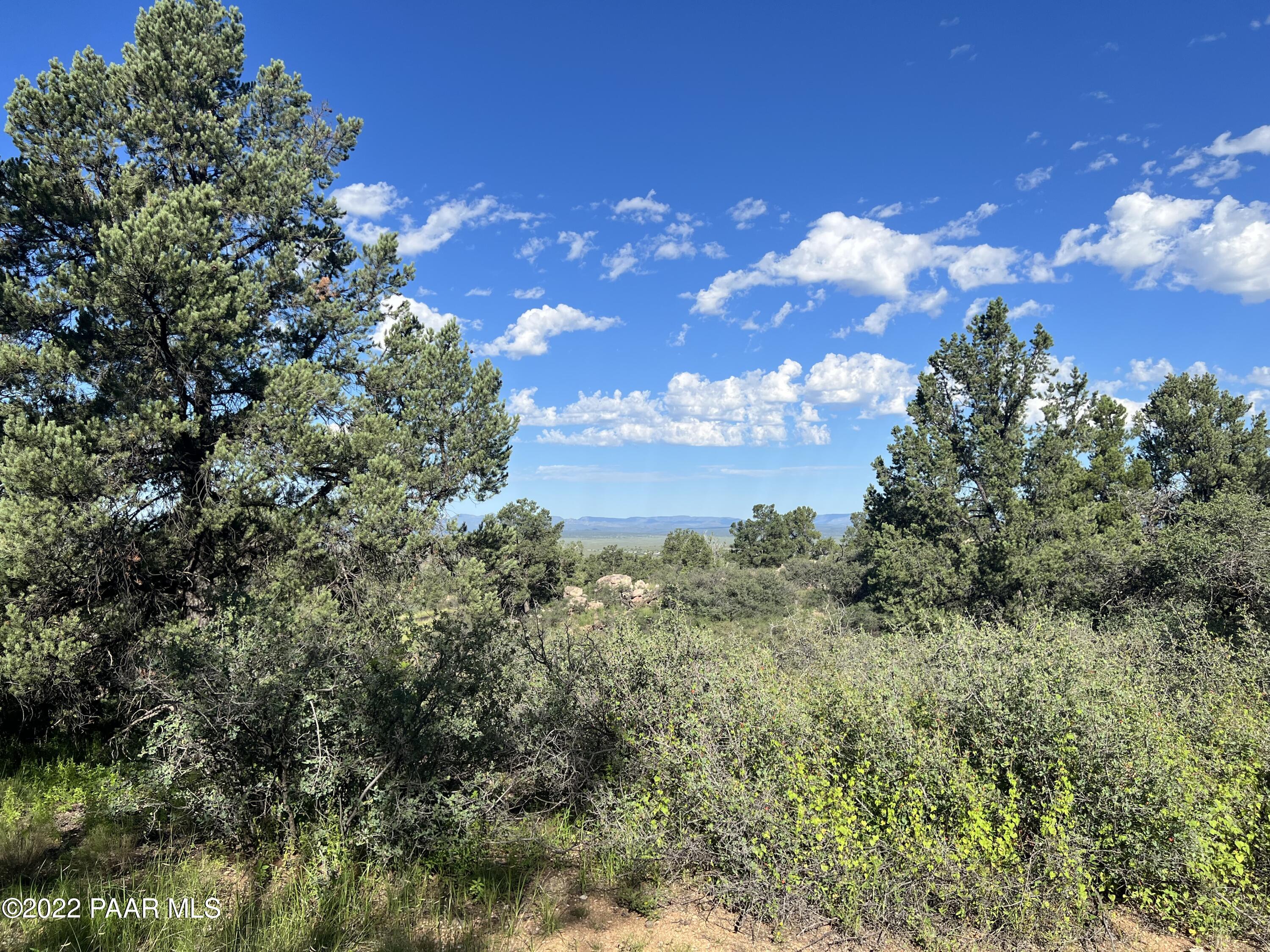 16301 Petroglyph Road Prescott, AZ 86305 - Photo 19 of 32 a view of a city