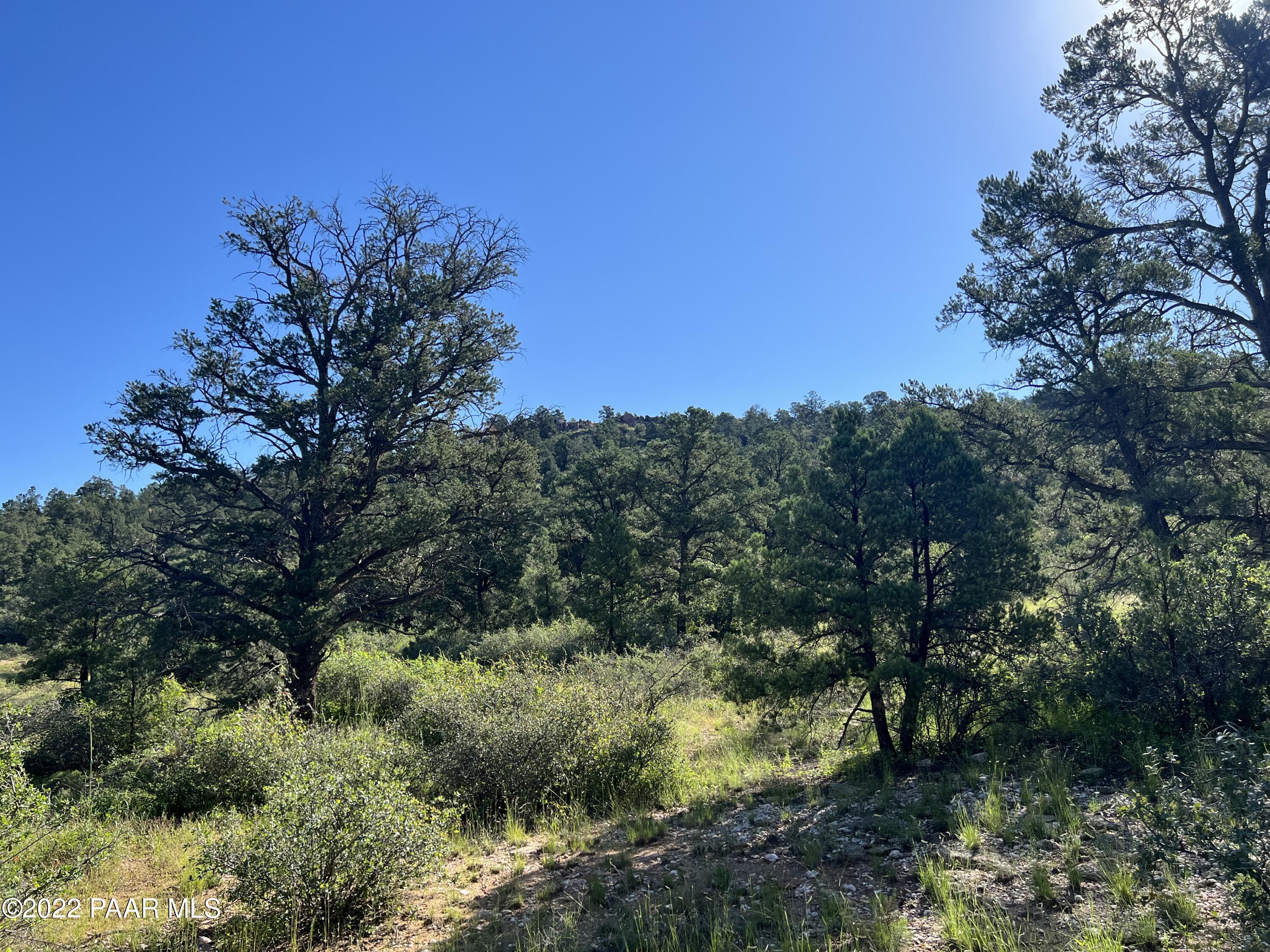 16301 Petroglyph Road Prescott, AZ 86305 - Photo 23 of 32 a view of a forest with trees in the background