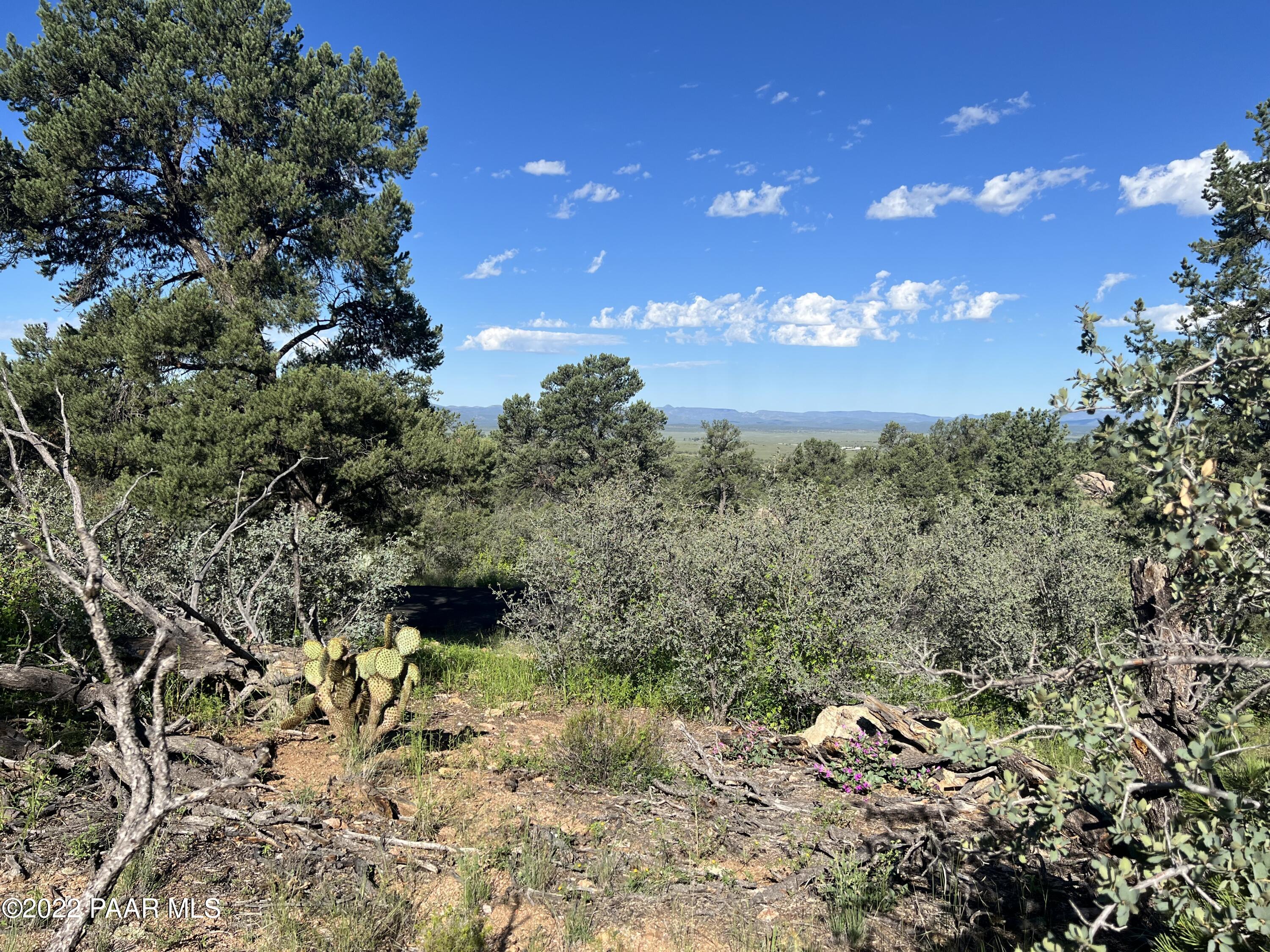 16301 Petroglyph Road Prescott, AZ 86305 - Photo 24 of 32 a view of a yard with a tree