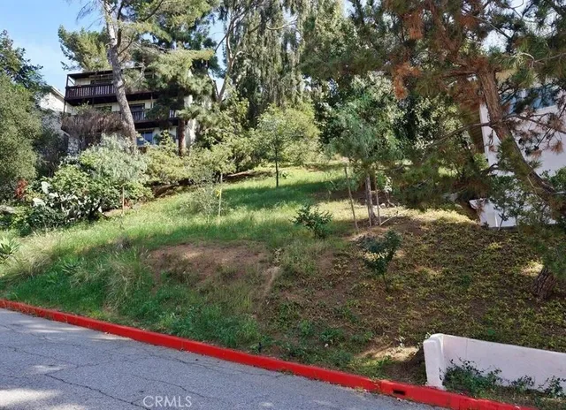 a view of a yard with plants and large trees