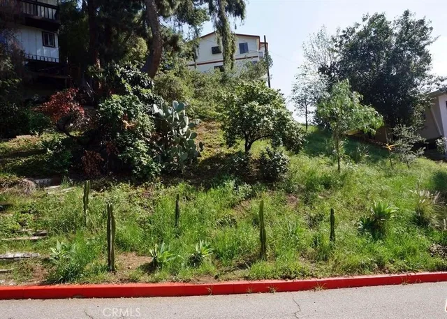 a view of a yard with plants