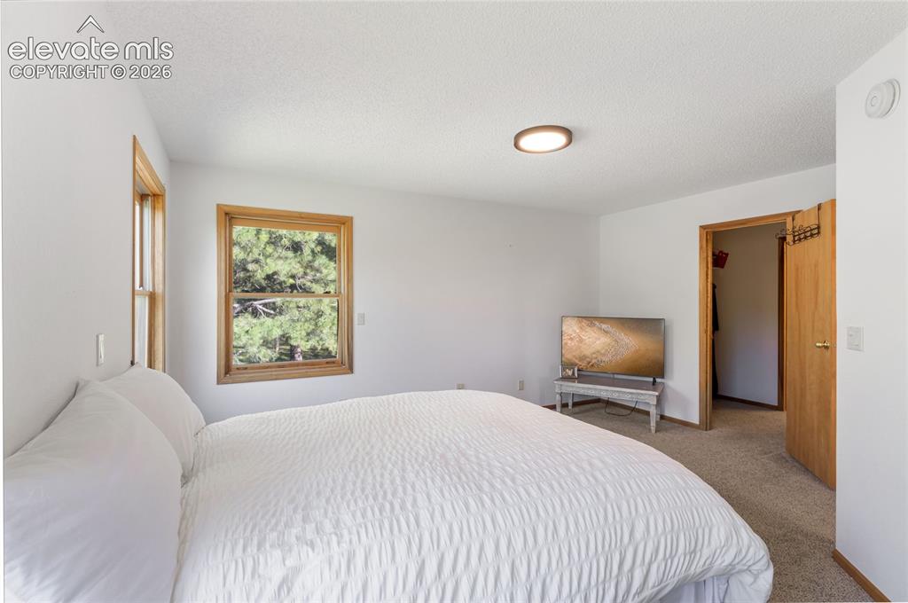 18673 Elbert Road Elbert, CO 80106 - Photo 15 of 29