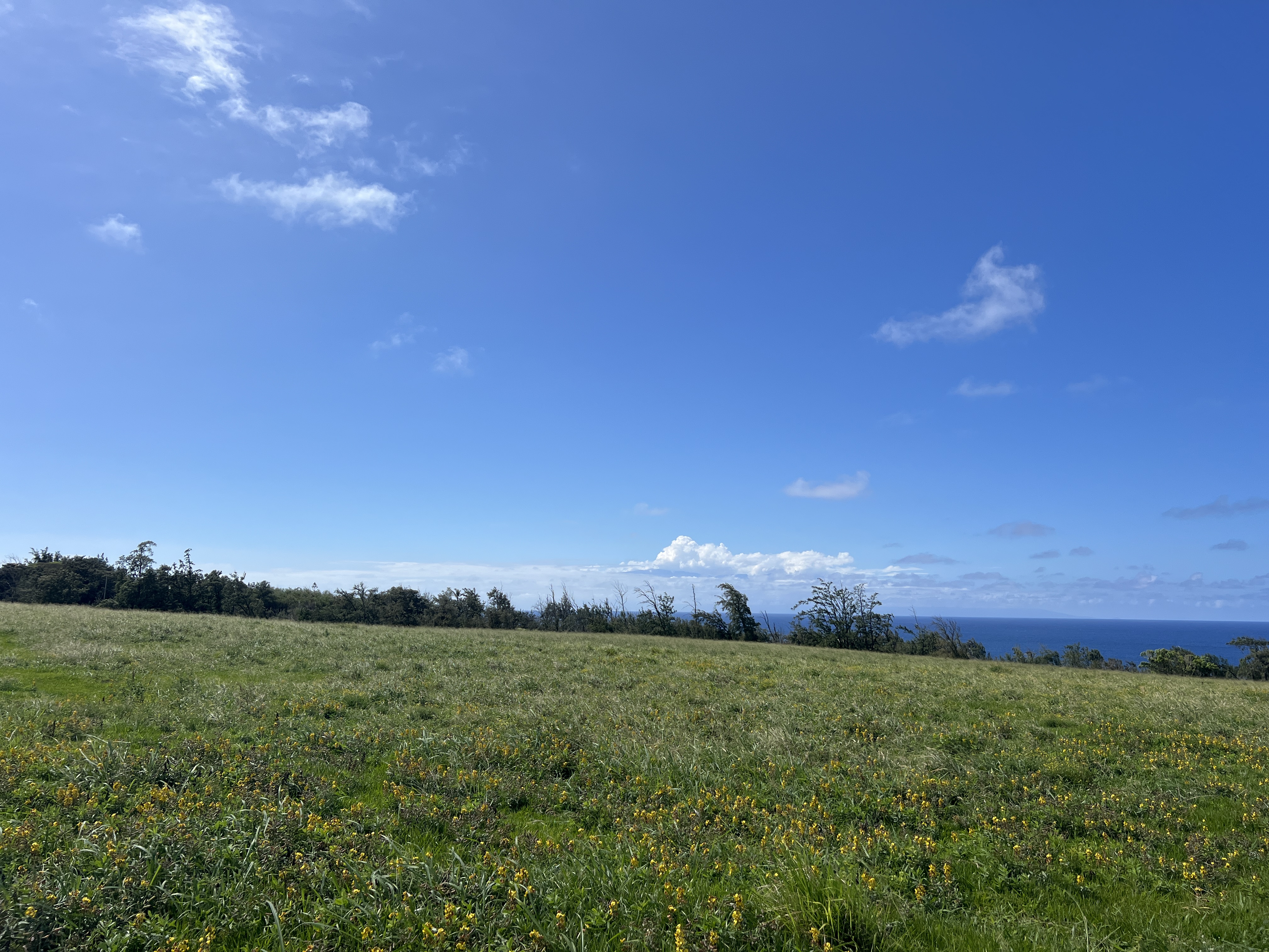 55-199 Hoea Road Hawi, HI 96719 - Photo 7 of 19