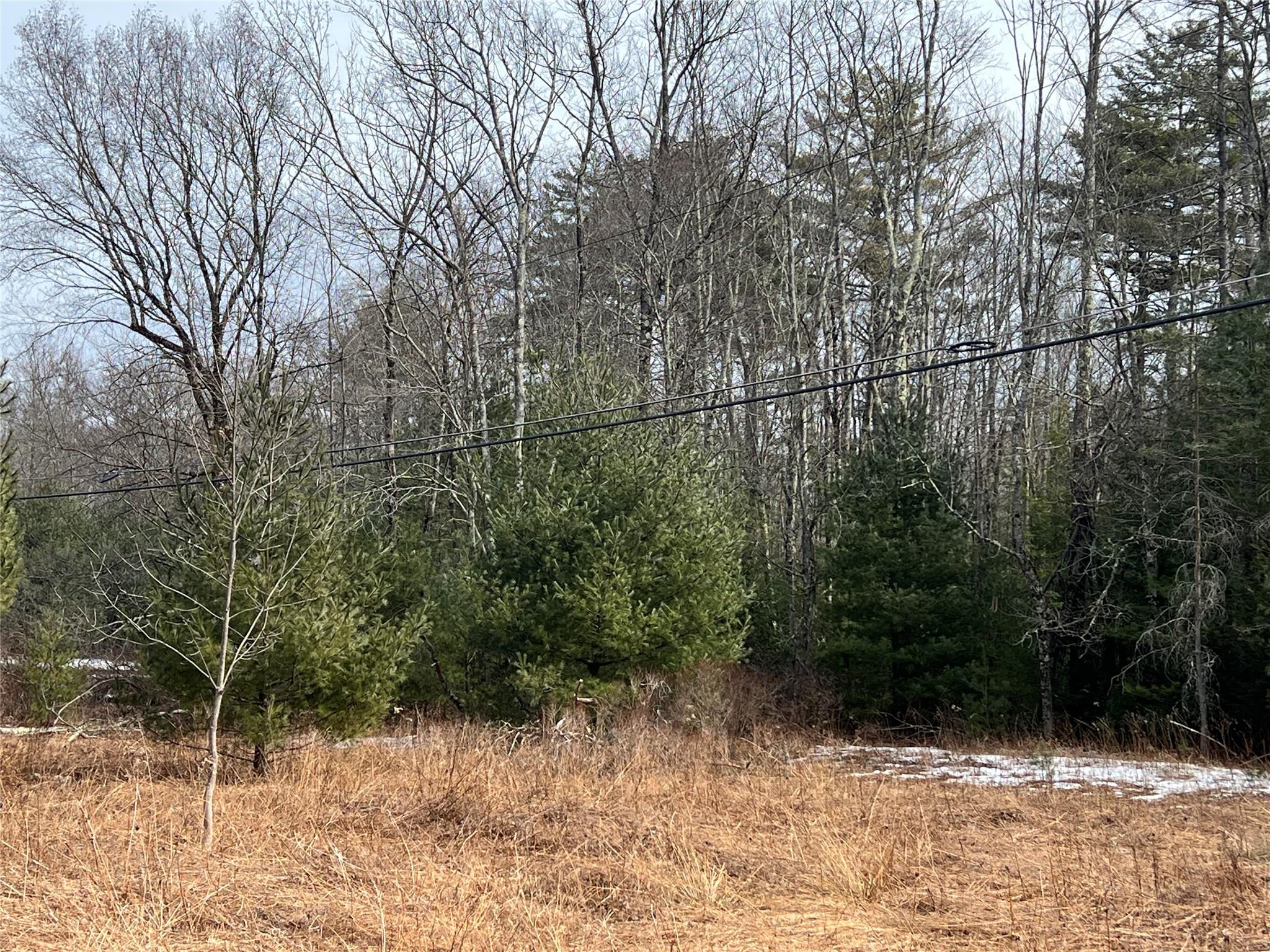 Martinfeld Road Greenfield Park, NY 12435 - Photo 2 of 6 a view of a yard