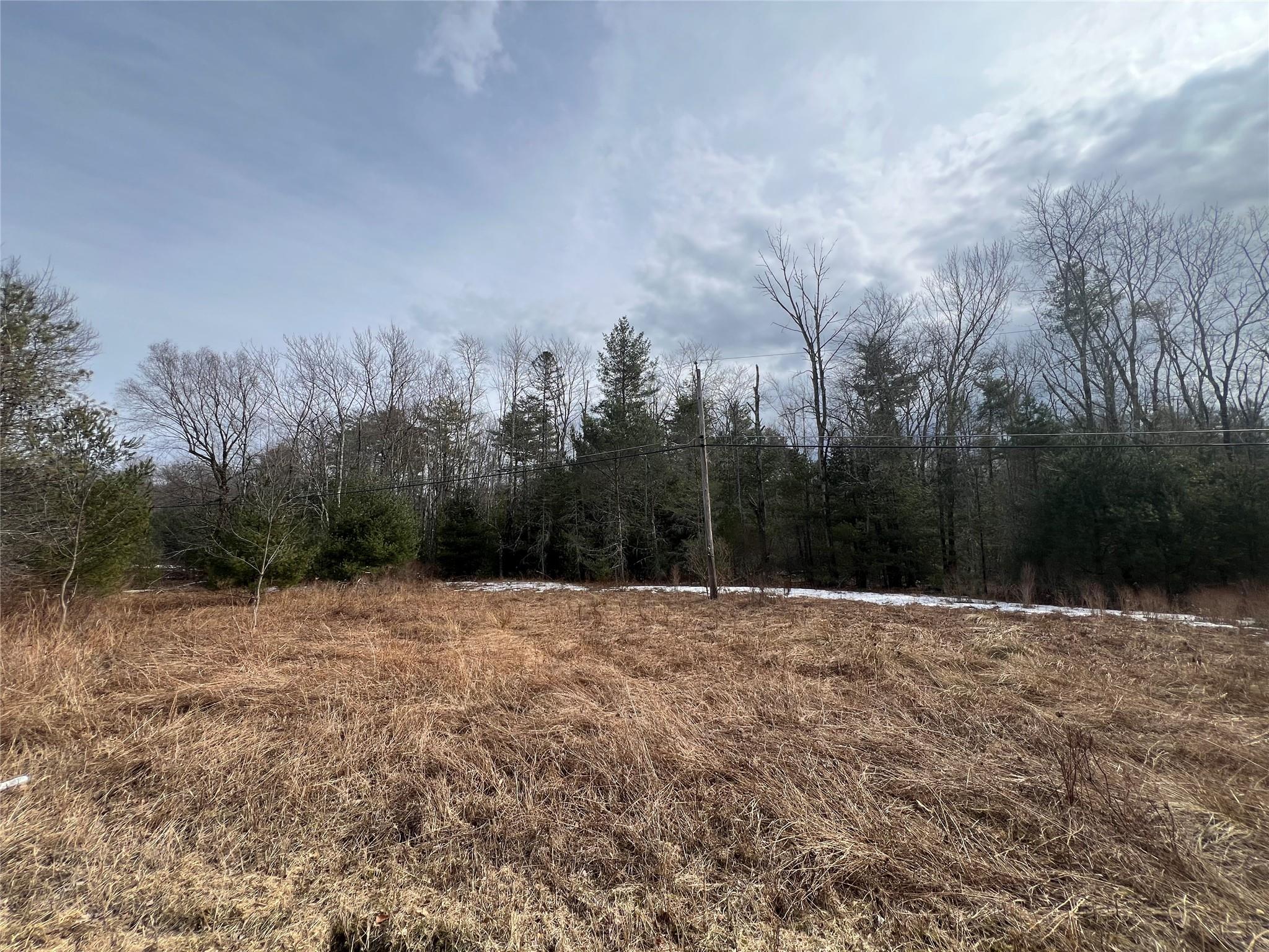 Martinfeld Road Greenfield Park, NY 12435 - Photo 4 of 6 a view of basketball court