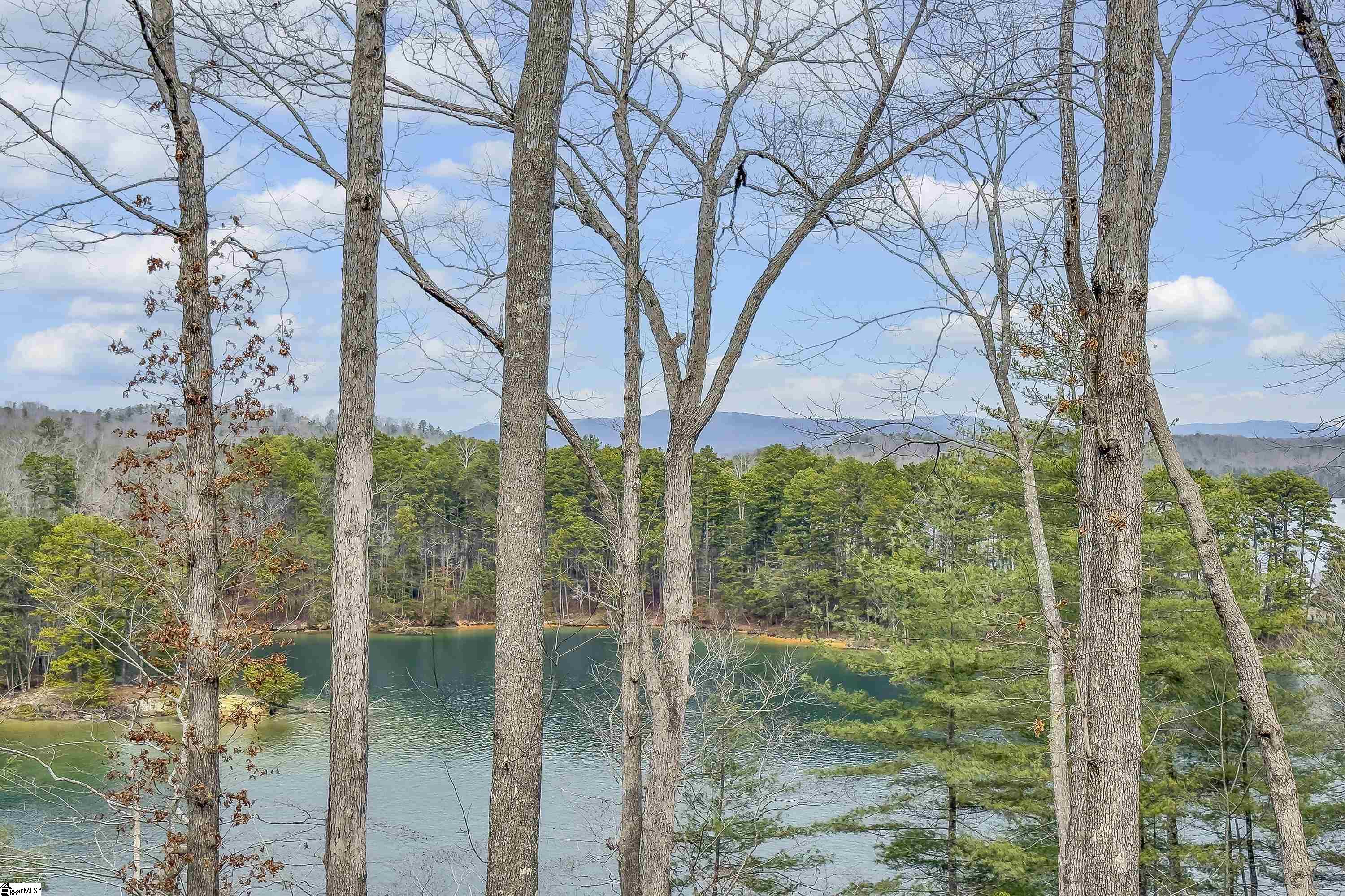 731 Barberry Court Salem, SC 29676 - Photo 2 of 16