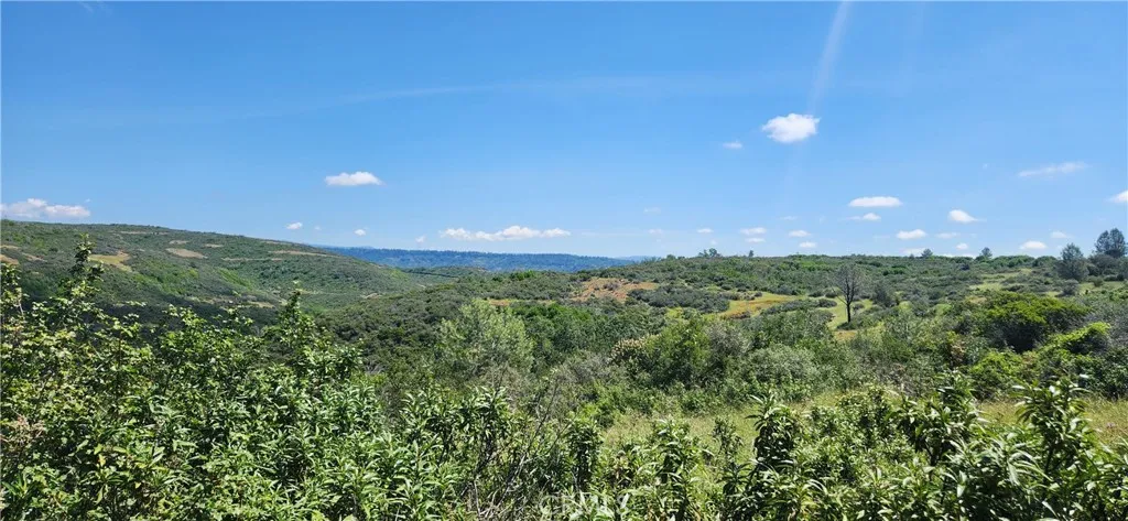 0 Hummer Forest Ranch Magalia, CA 95954 - Photo 16 of 28 a view of a green field with lots of bushes