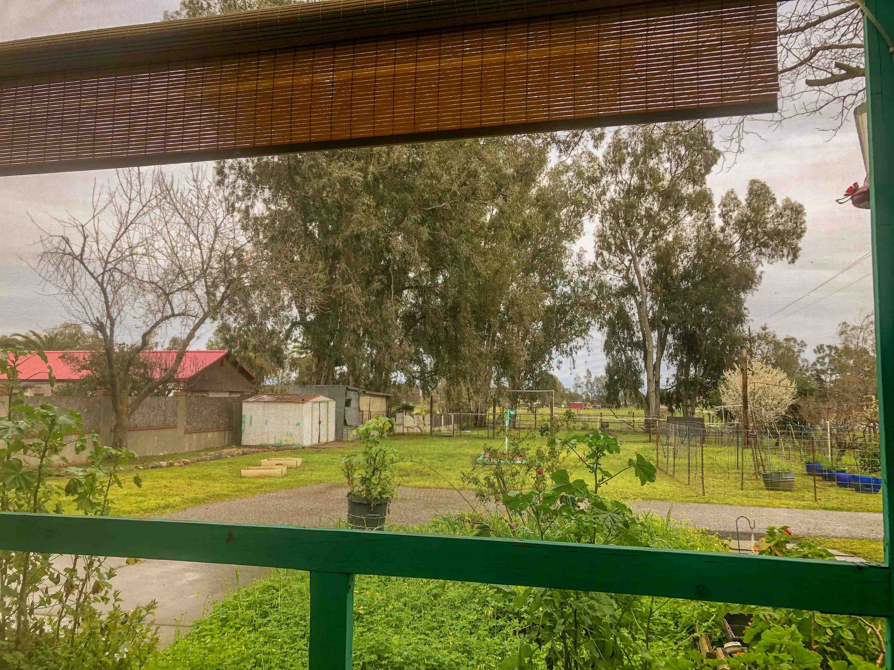 23848 Hoag Road Corning, CA 96021 - Photo 22 of 73