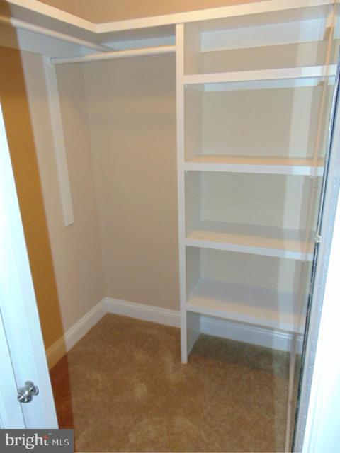 6320 Griffith Road Gaithersburg, MD 20882 - Photo 14 of 18 Walk in closet
