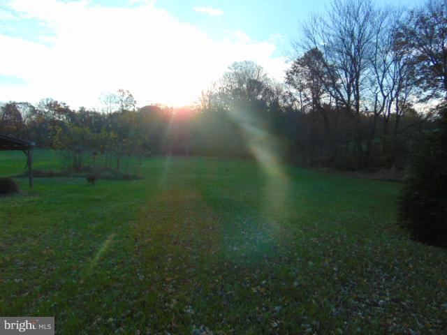 rear yard