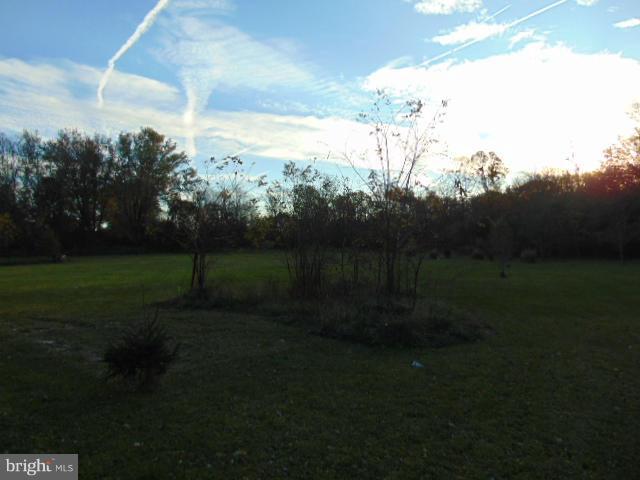rear yard