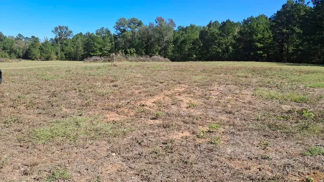 $39,999 | Tbd Antioch Road, Groveton, TX 75845