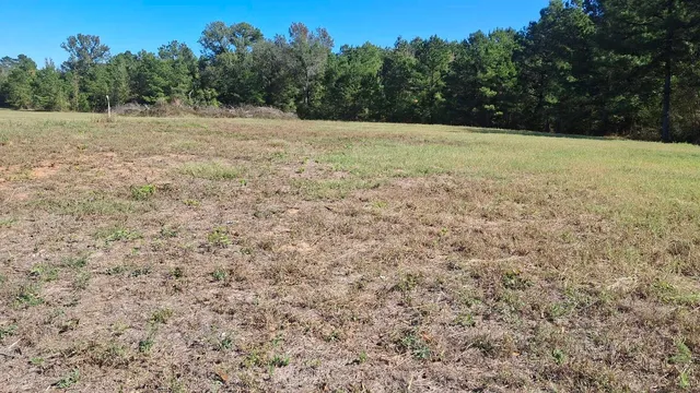 a view of dirt field with trees in the background