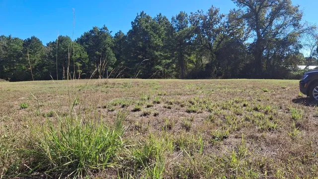 a view of large yard with trees
