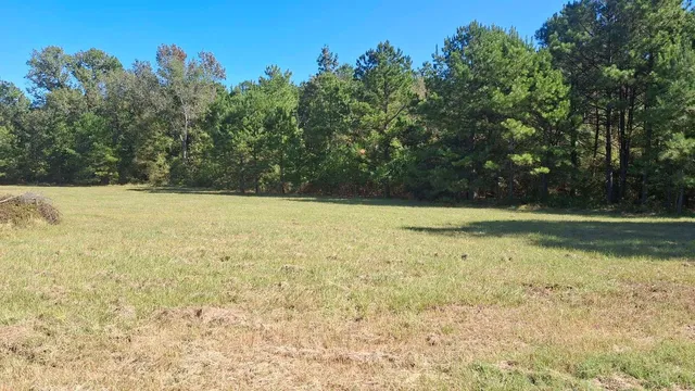 a view of a yard with trees in the background