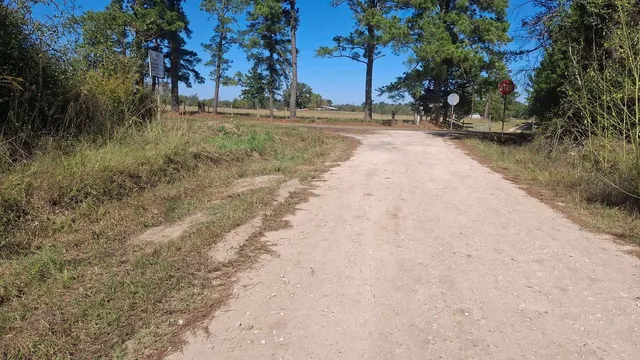 a view of a yard with wooden fence