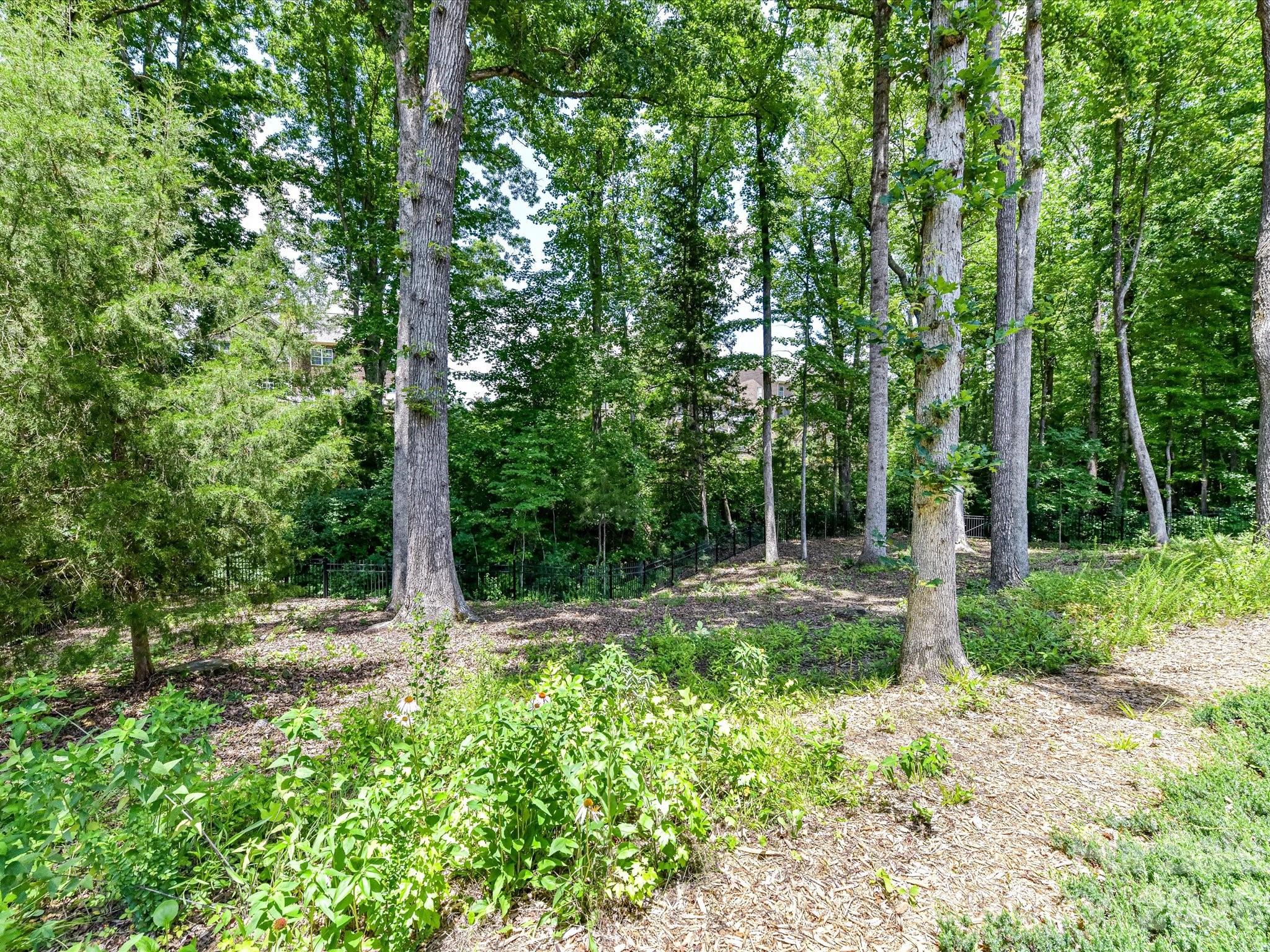 8701 Whitehawk Hill Road Waxhaw, NC 28173 - Photo 42 of 42