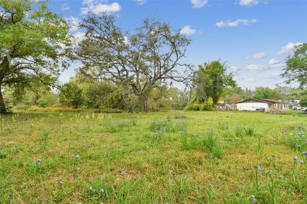 South Taylor Road Seffner, FL 33584 - Photo 6 of 29