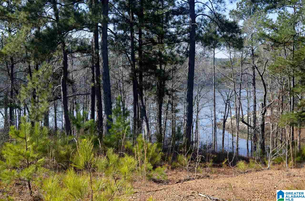Stillwaters Trail, Unit 179 Sylacauga, AL 35151 - Photo 1 of 20