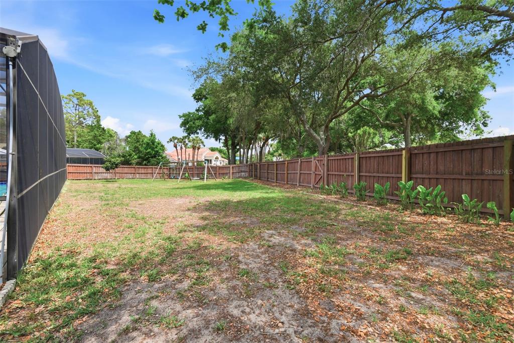 7432 Sparkling Lake Road Orlando, FL 32819 - Photo 42 of 54 a view of a yard with a large trees