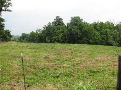 111 Scrub Grass Road Carlisle, KY 40311 - Photo 5 of 5 Photo 5