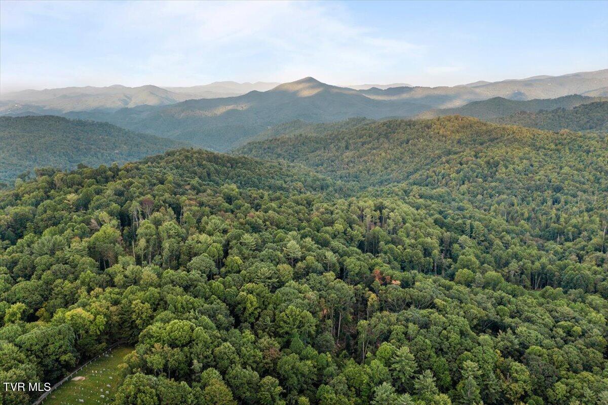 1259 Heaton Branch Road Butler, TN 37640 - Photo 12 of 20 05-DJI_0852