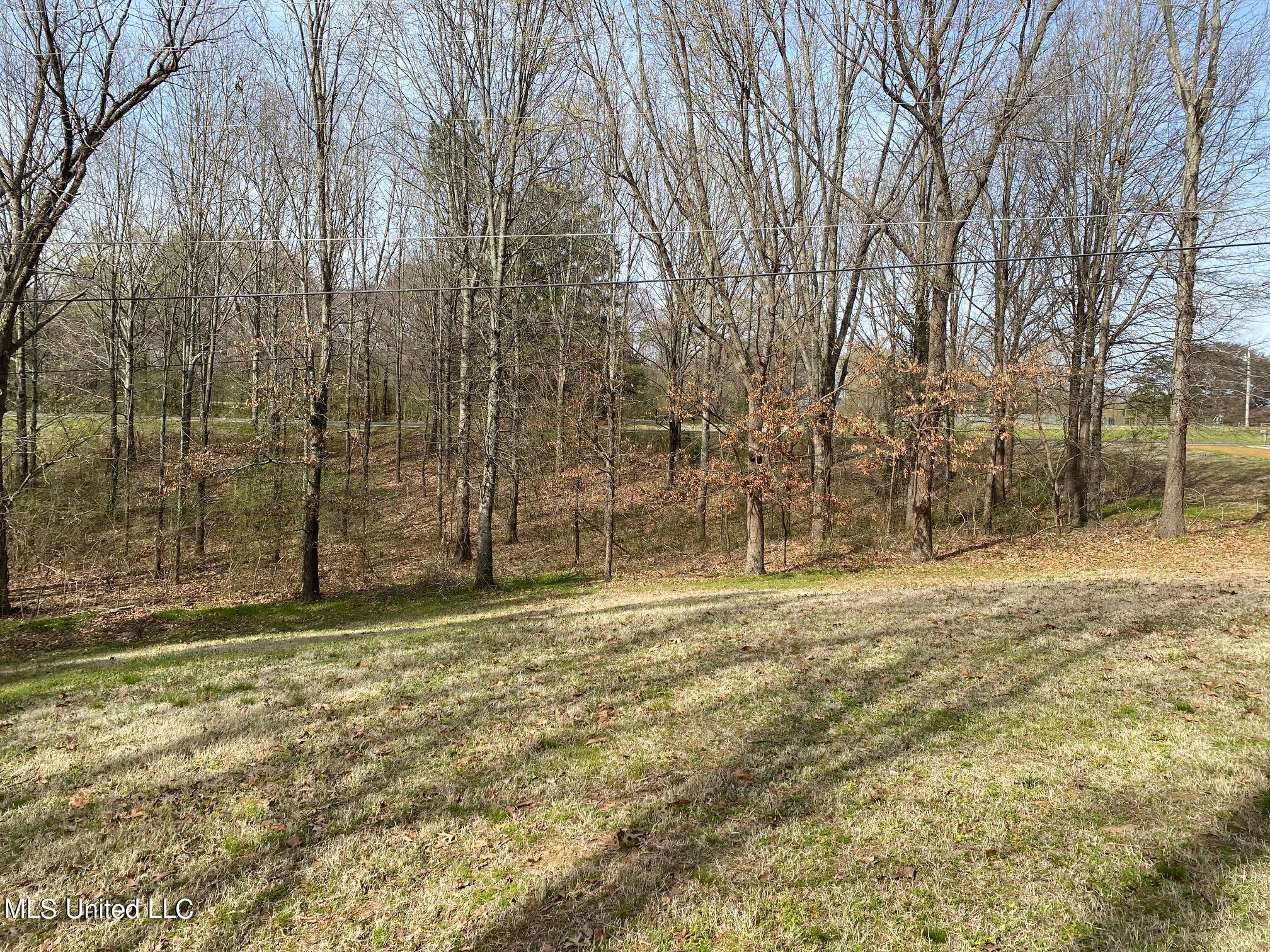 5090 Belmont Road Hernando, MS 38632 - Photo 7 of 14 IMG_2612