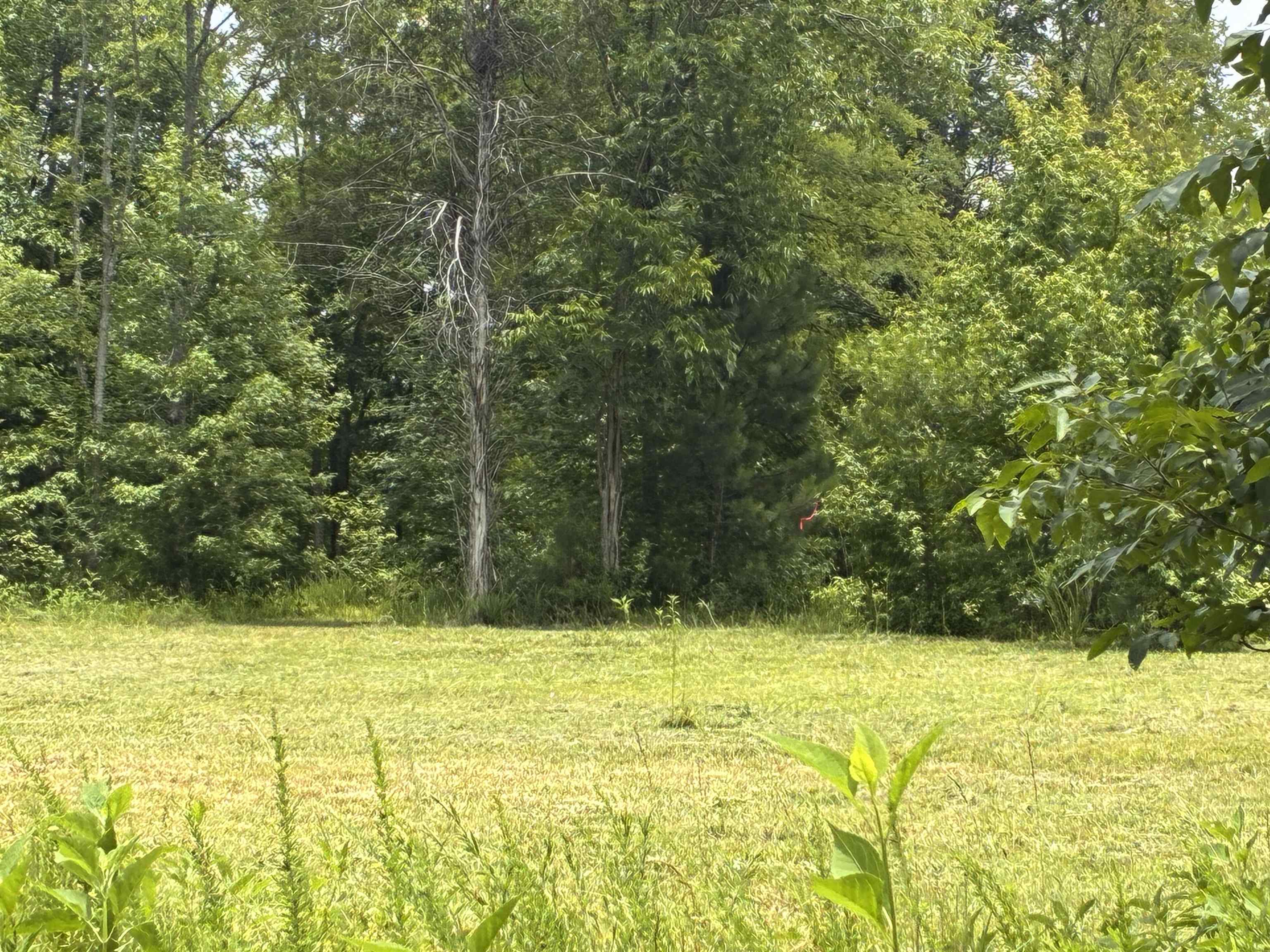 Lot 2 State Rd S-11-54 Gaffney, SC 29340 - Photo 9 of 13