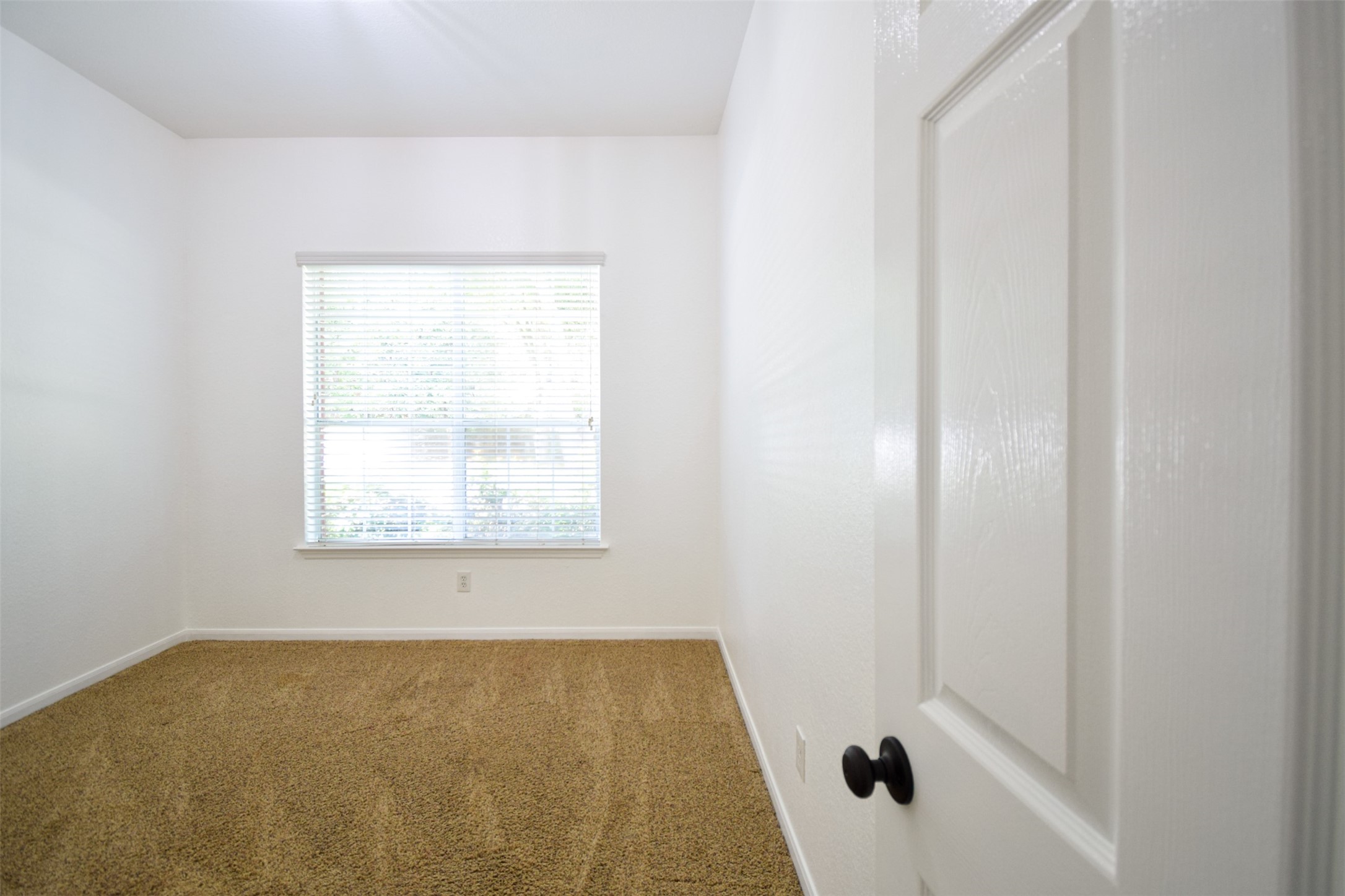 34 South Rambling Ridge Place Conroe, TX 77385 - Photo 43 of 50