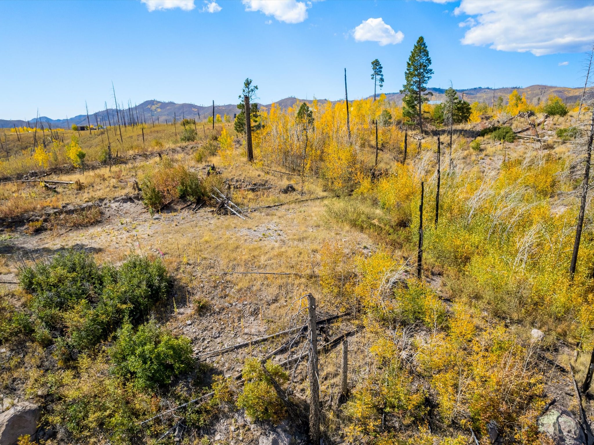 995 Forest Road, Unit 268 Jemez Springs, NM 87025 - Photo 21 of 24