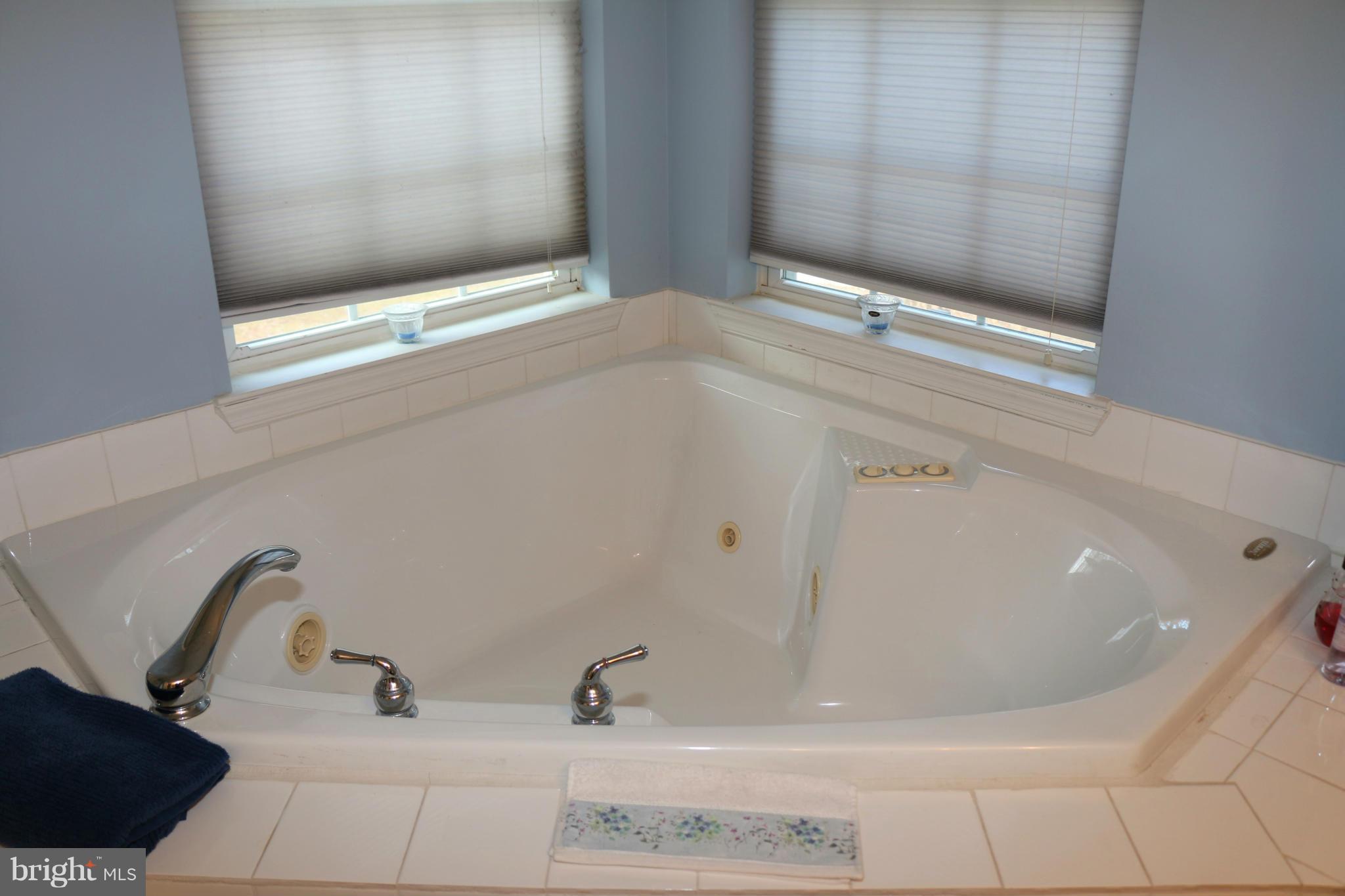 1222 Bush Road Abingdon, MD 21009 - Photo 15 of 30 Master Bath