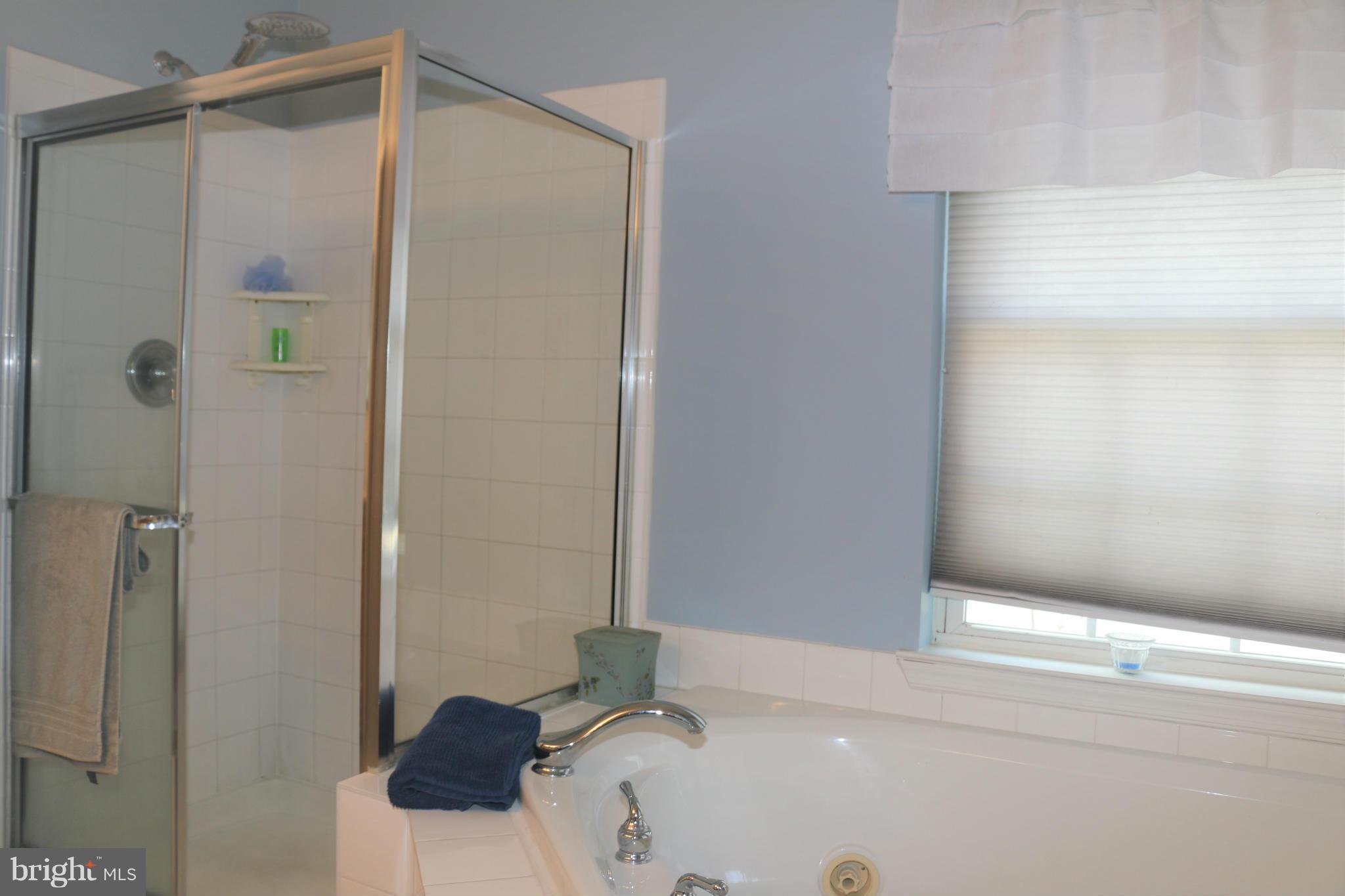 1222 Bush Road Abingdon, MD 21009 - Photo 17 of 30 Master Bath