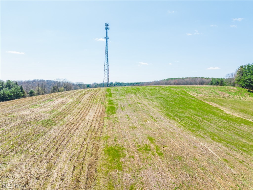 9050 Freeman Road Lisbon, OH 44432 - Photo 49 of 50