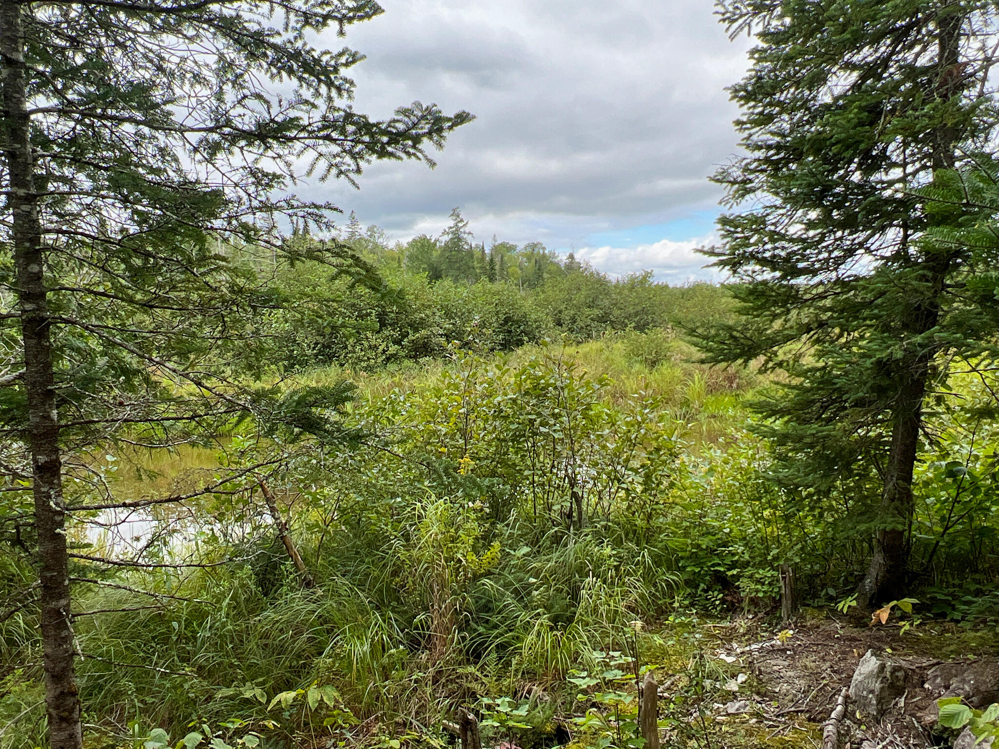 351 Meadow Road Corinth, ME 04427 - Photo 9 of 22 8