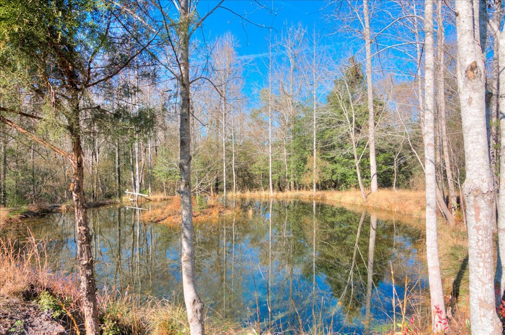 861 Colbert Bridge Road Aiken, SC 29803 - Photo 45 of 52