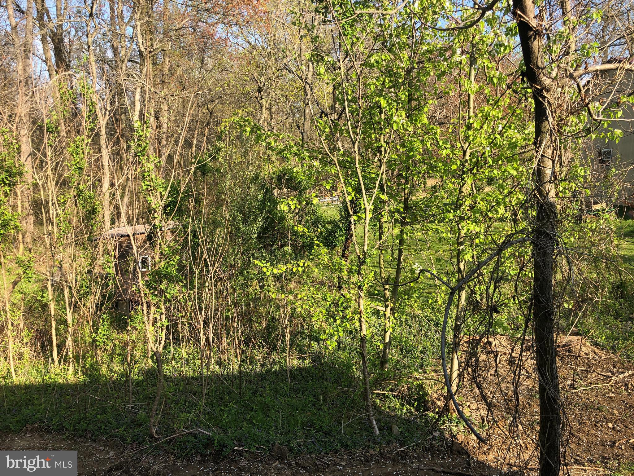 108 Hilltop Road Elkton, MD 21921 - Photo 12 of 14