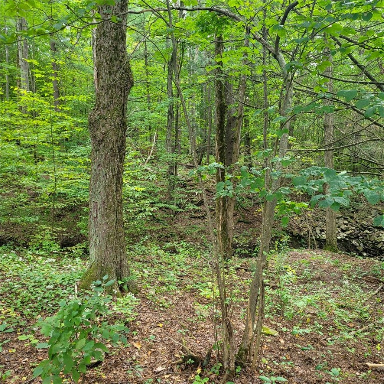 363 Van Hook Road Owego, NY 13827 - Photo 3 of 8