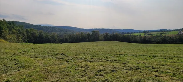 $115,000 | 363 Van Hook Road, Owego, NY 13827