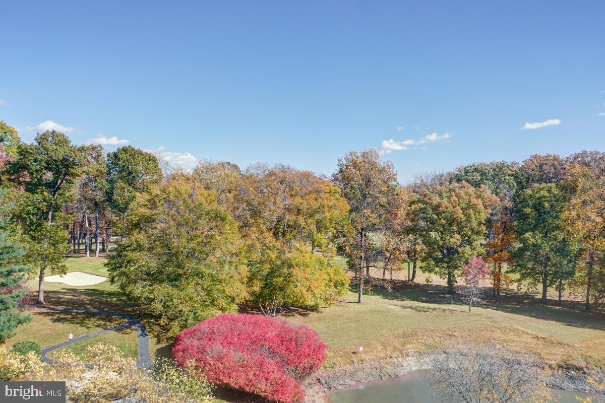 15101 Interlachen Drive, Unit 1625 Silver Spring, MD 20906 - Photo 12 of 32 scenic view from Balcony