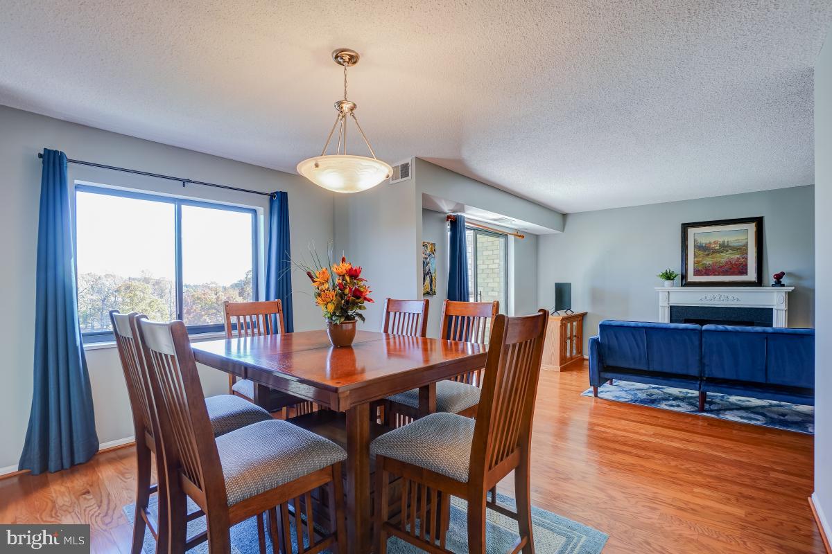 15101 Interlachen Drive, Unit 1625 Silver Spring, MD 20906 - Photo 13 of 32 large dining area