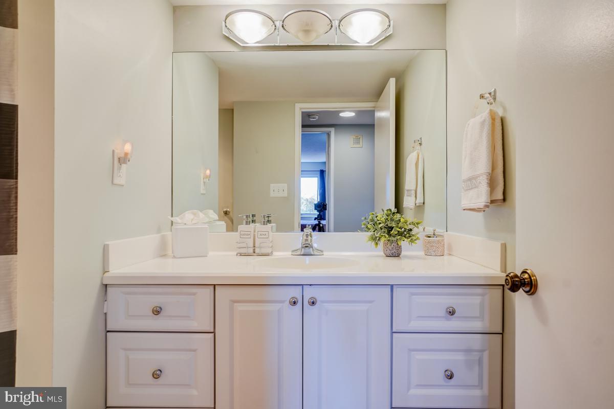 15101 Interlachen Drive, Unit 1625 Silver Spring, MD 20906 - Photo 25 of 32 Large updated bathroom