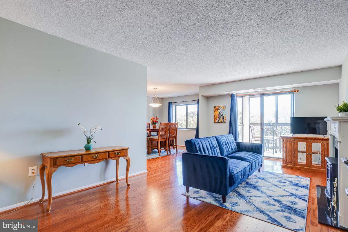 15101 Interlachen Drive, Unit 1625 Silver Spring, MD 20906 - Photo 6 of 32 large light filled living area