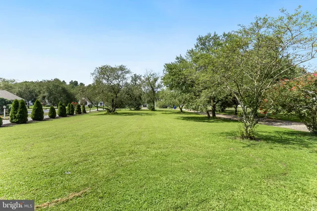 a backyard of a house with large trees and a big yard