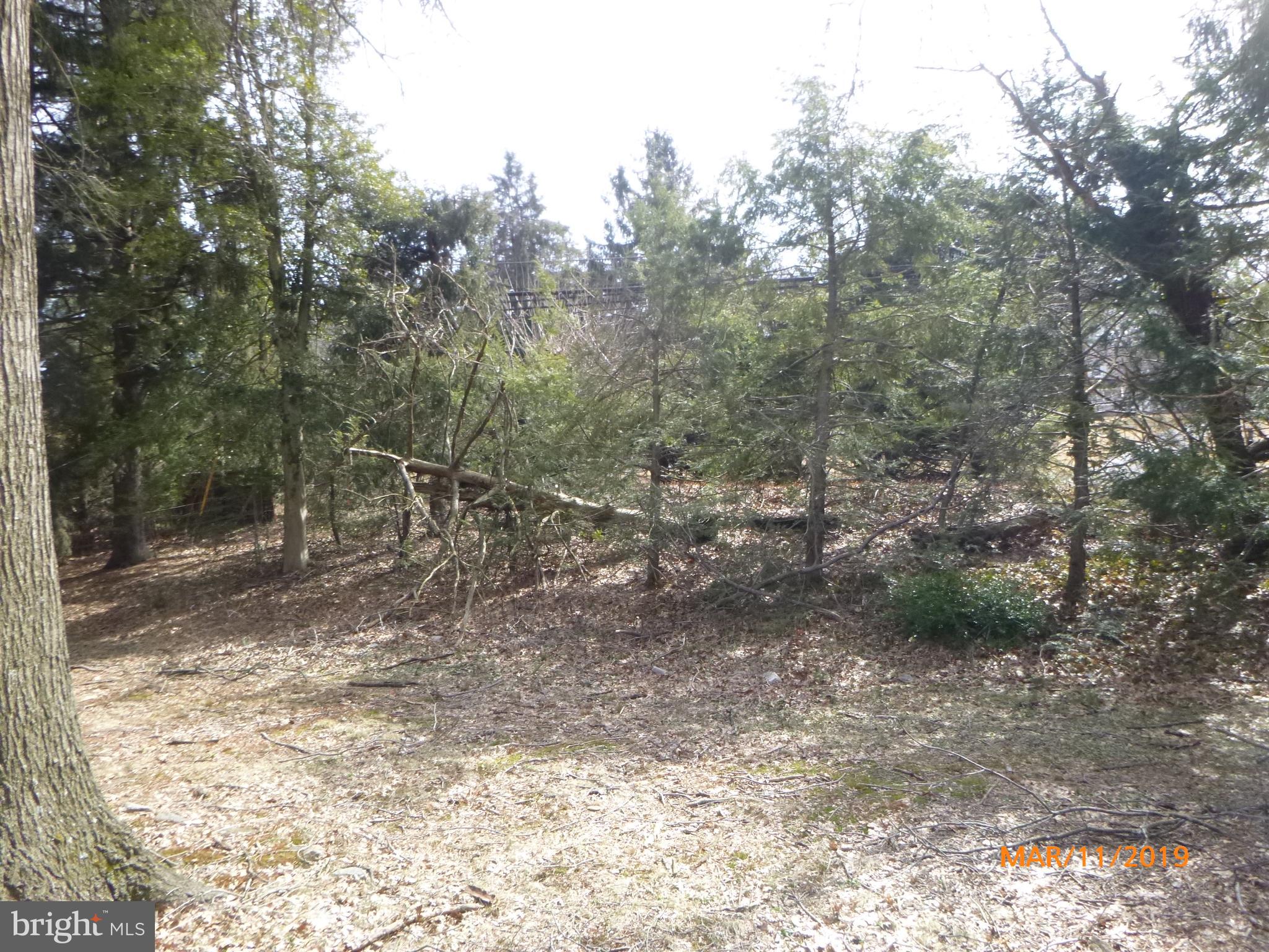 525 Welsh Road Huntingdon Valley, PA 19006 - Photo 10 of 27 Side grounds