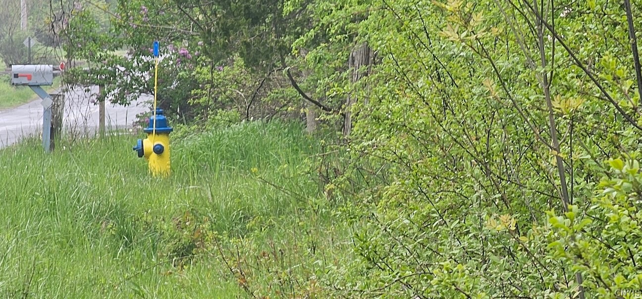 Rotterdam Road Sodus, NY 14551 - Photo 21 of 25