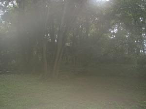 0 Huron And Williams Road Williams, IN 47470 - Photo 1 of 1