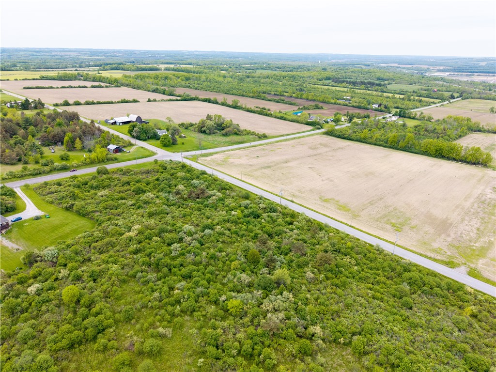 Rock Spring Hill Road Dansville, NY 14437 - Photo 10 of 20