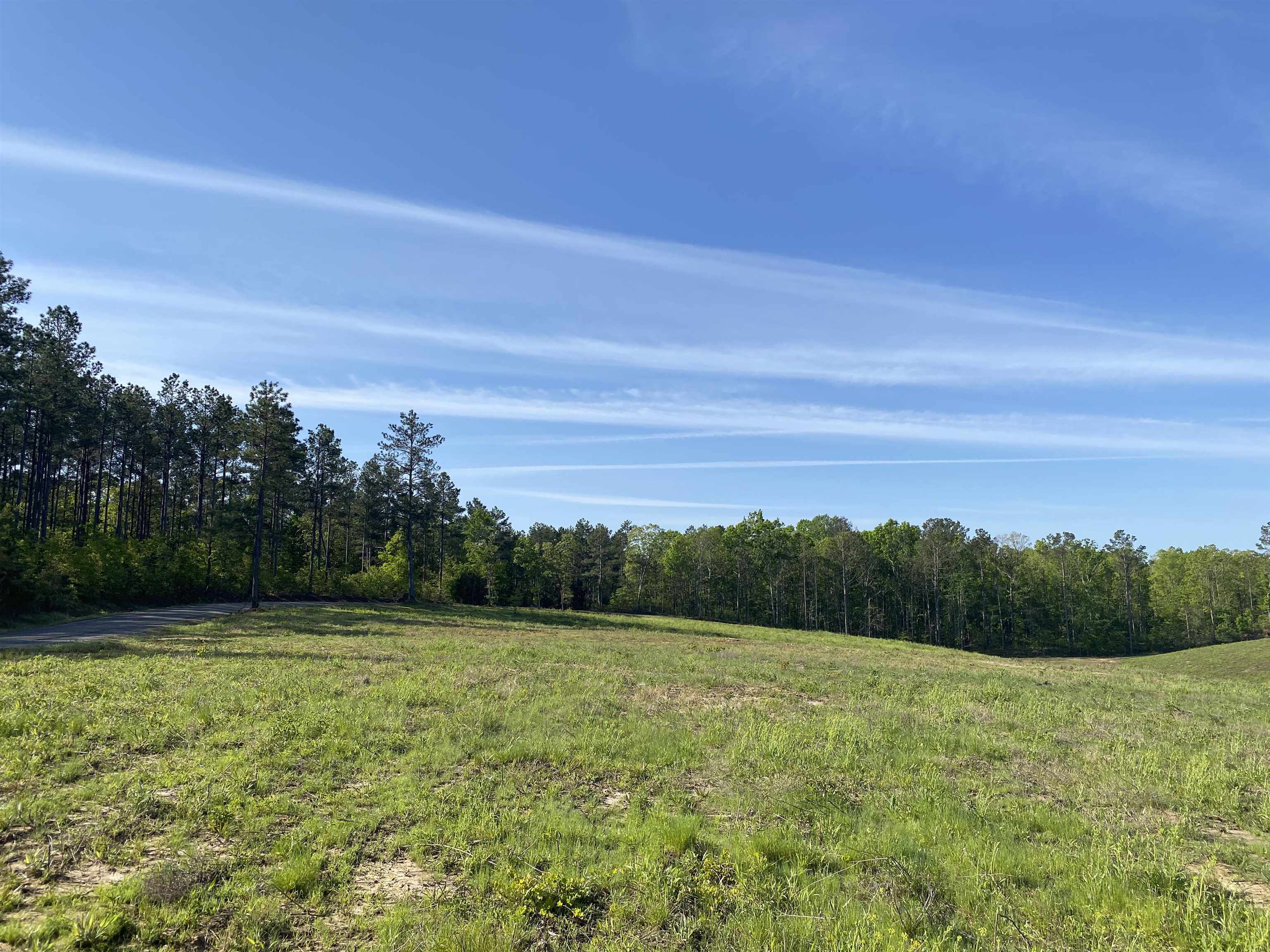 a view of a field with a tree in the background