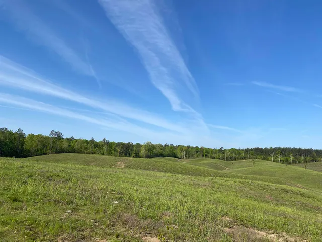 a view of a field with an ocean