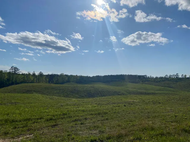 a view of field with trees in the background